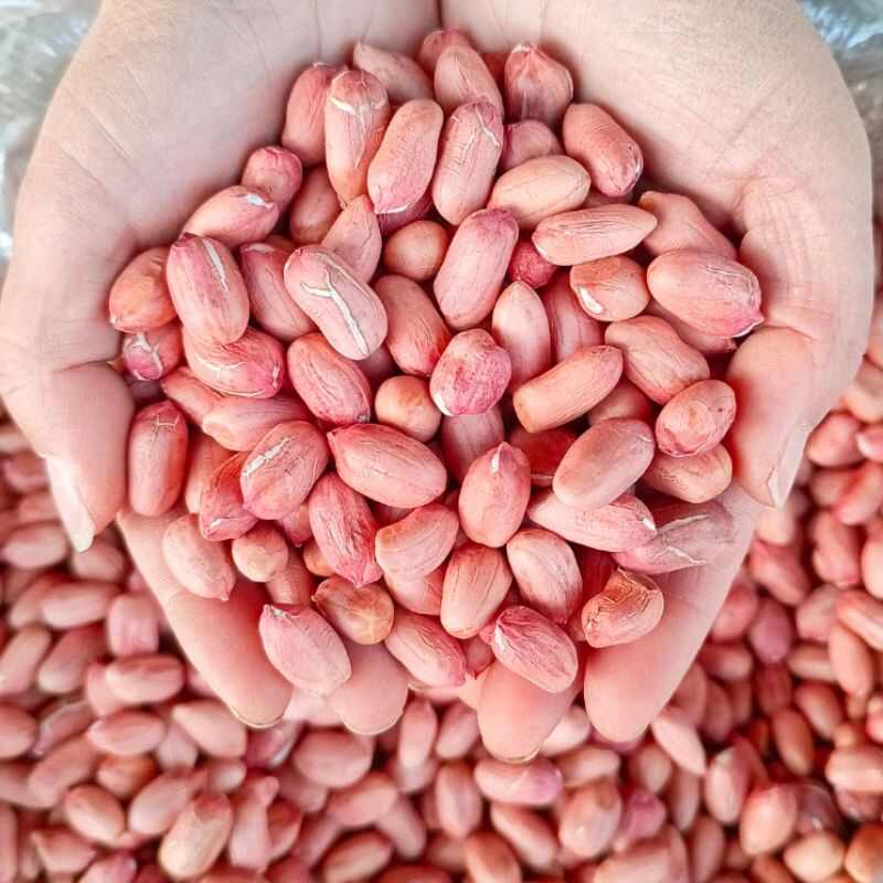 全国包邮 包含运费 商超版 花生米 带壳花生果 基地直批