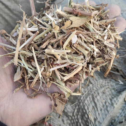 周口现场加工的花生秧，牛羊马草料