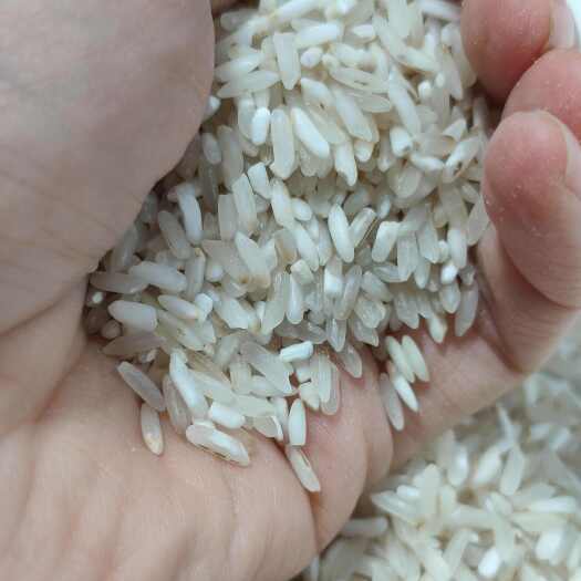 钟祥市色选米 颗粒饱满 价格从优