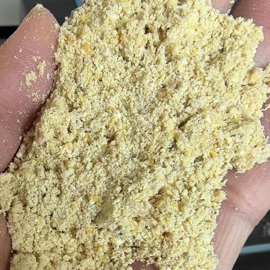 正定县全脂棉籽饼，玉米酒糟DDGS,玉米次粉，玉米胚芽粕