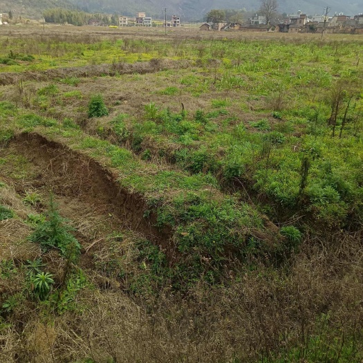 衡阳湖南衡阳地区  畜牧场场 村集体资源出租