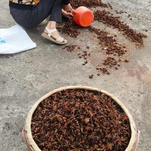 贺州广西大红八角水烫八角无硫