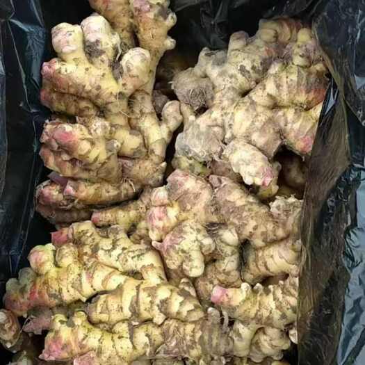 惠水县贵州二黄姜