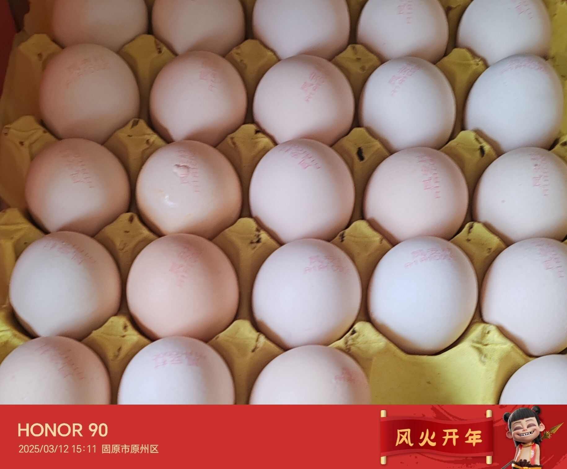 宁夏固原土鸡蛋新鲜农家散养蛋可批发
