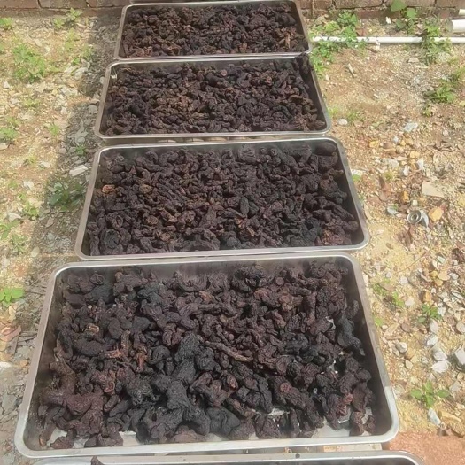 博罗县鸡头黄精