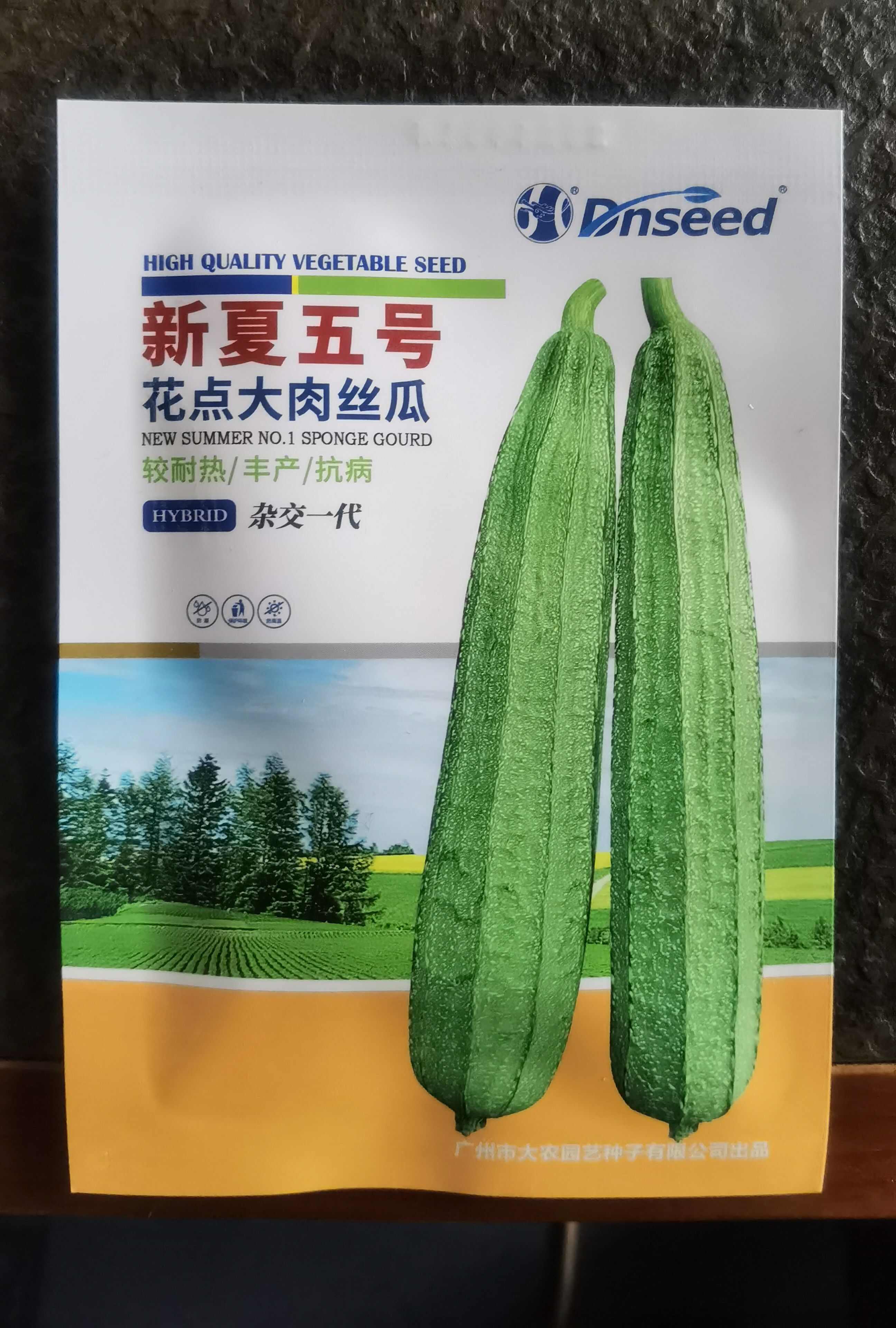 新夏五号丝瓜种子 较耐寒，稍耐热 大花点 长32～38厘米