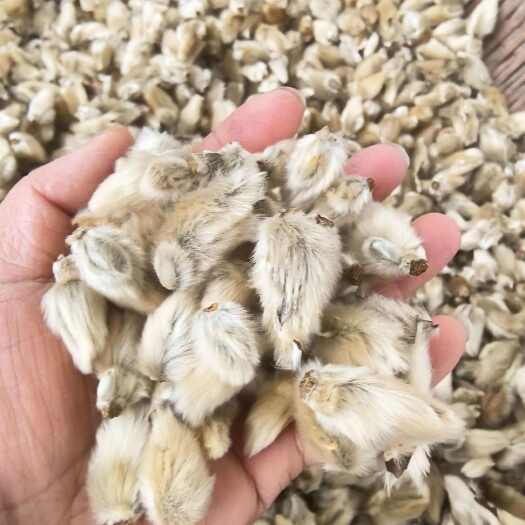 康县陇南优质辛夷花中药材批发零售