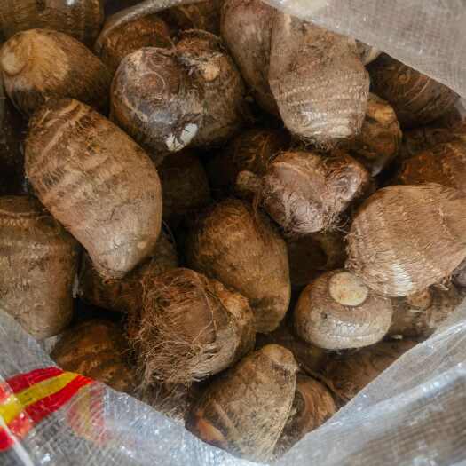 沂水县芋头  芋头种  沂蒙山优质产地品种齐全 可发全国
