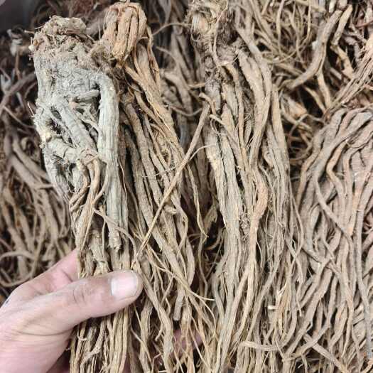 陇西县川归，也叫甜当归，质量好，价格便宜。产地直发