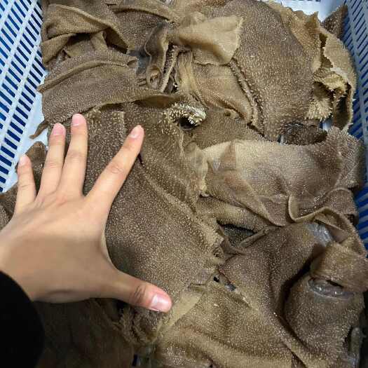 小叶片 毛肚叶片 火锅食材批发厂家一件起发