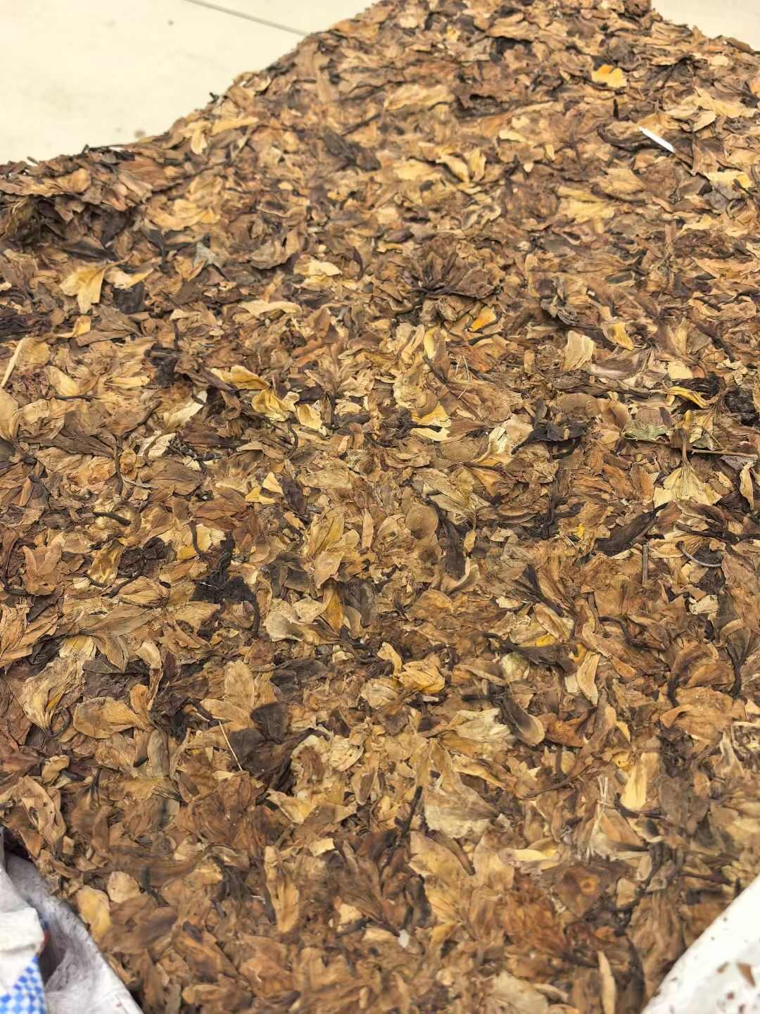 压扁鸡蛋花干，煲凉茶的不二选择！广州荔湾区发货，批发零售