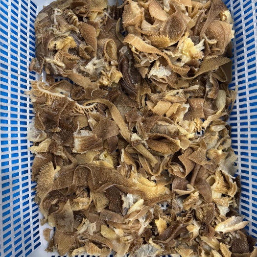 成都毛肚小碎叶 自助火锅 牛杂店 冒菜店 麻辣烫可用