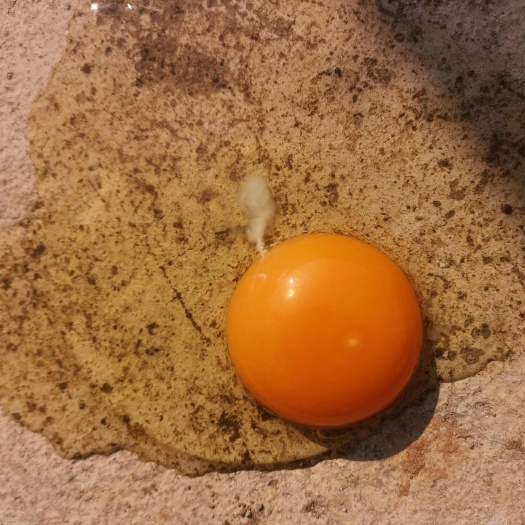 贵阳贵州粉壳鲜鸡蛋50斤360枚/箱
