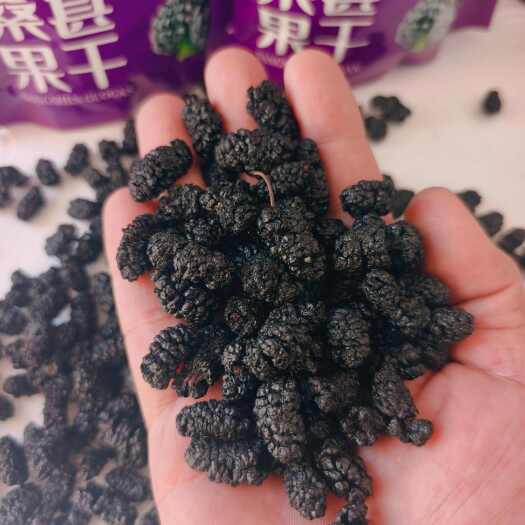 泊头市桑葚干 桑椹干 中大果黑桑椹干 水洗桑椹干大货批发 一手货源