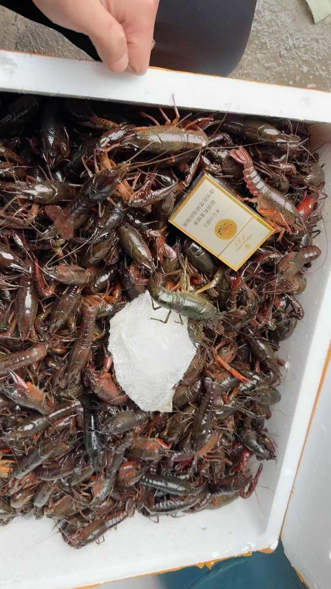 小龙虾