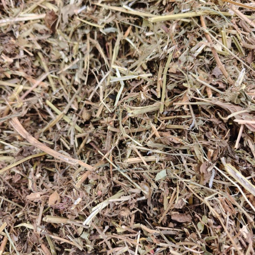 沭阳县宿迁优质花生秧饲料 牛羊马通用 沭阳直发