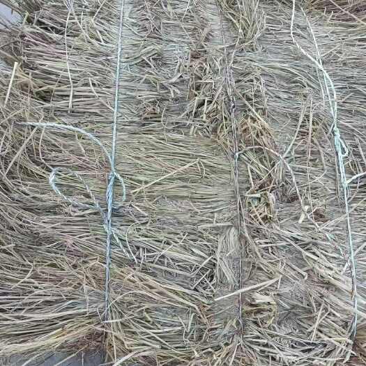 沈阳治沙稻草