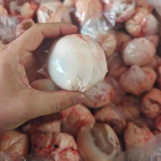 锡林浩特草原羔羊羊腰子 5元一个大腰子
