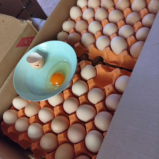 长沙县高品质粉壳土鸡蛋 蒸炒煮金黄 蛋香醇厚老顾客高回购率420枚