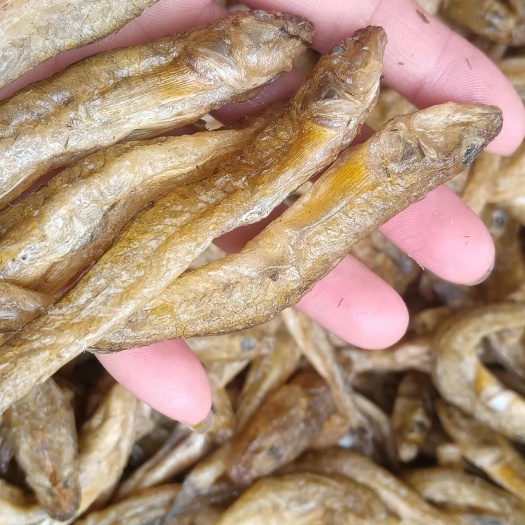 广州鱼干