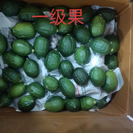 南宁广东香水柠檬一级果