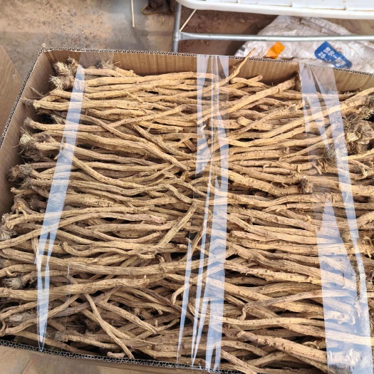 亳州防风防风条子选货防风节带毛头0.6到1.3粗长度20公分以上