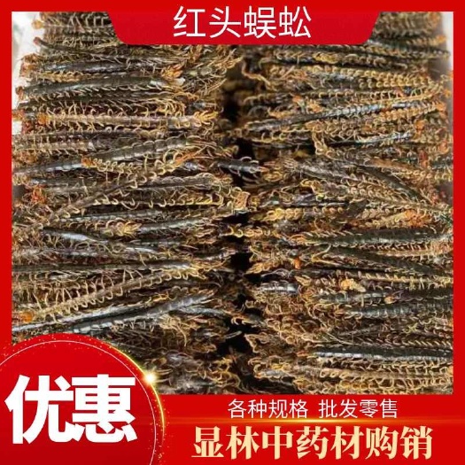 内乡县河南南阳内乡县特产红头蜈蚣各种规格干货批发零售