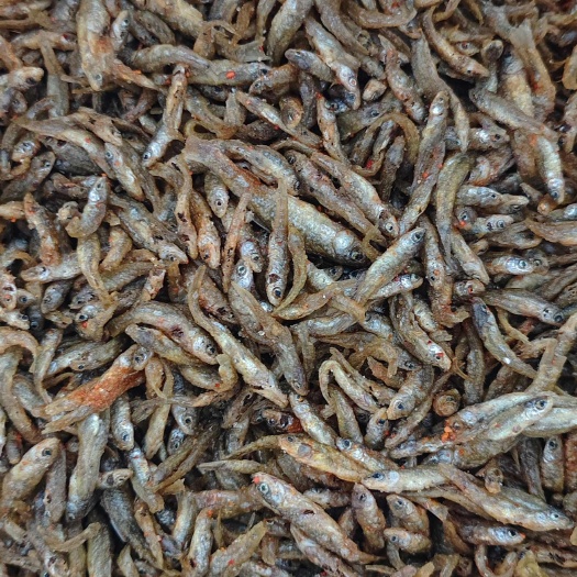 麦穗鱼干  河虾干…