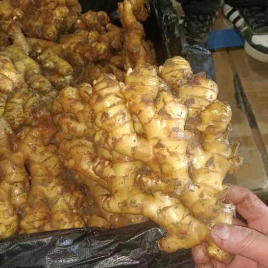 惠水县贵州二黄姜
