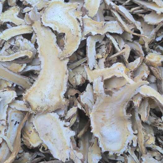 鄄城县当归 菜当归 批发各种规格当归 质量保证 量大从优