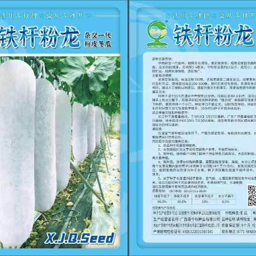 南宁优质冬瓜种子 预包装全国发货 农户优选