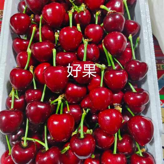 瓦房店市代收大连樱桃，标价不是卖价