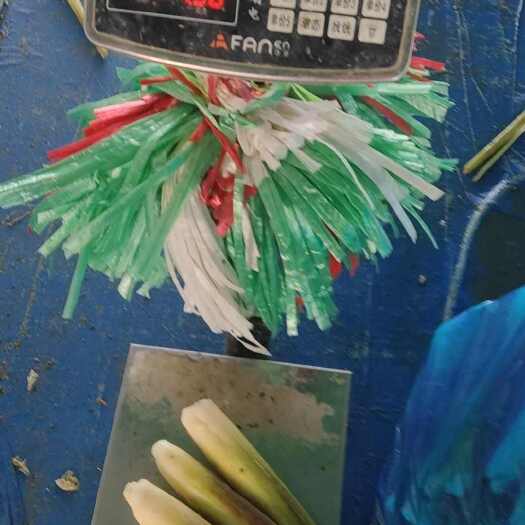 汕头新鲜上市茭白，一级二级电商货可持续供应