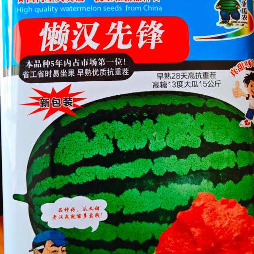 大果早熟西瓜种子 懒汉先锋 抗病抗重茬甜度13度 易管理