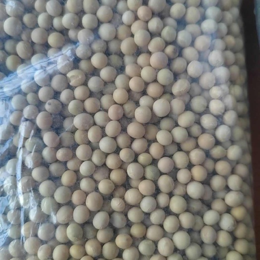绥棱县低蛋白商品