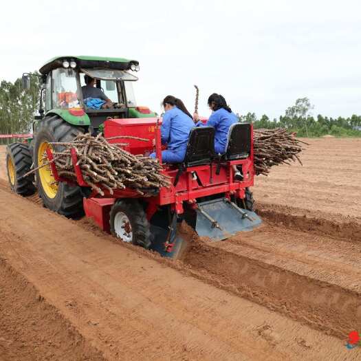 木薯专用播种机 全国联保品质无忧 山东潍坊发货