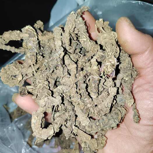 昆明干马蹄香，光货，统货，