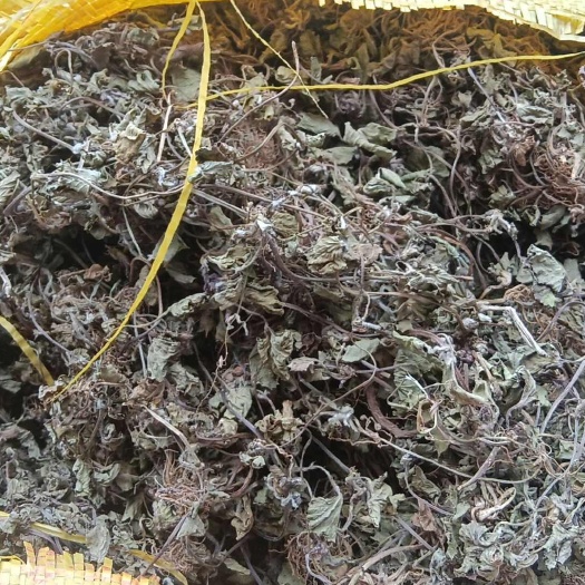 安龙县马蹄菜，积雪草