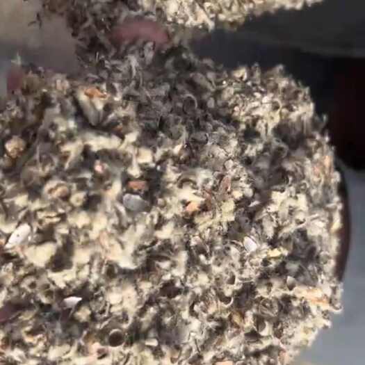 淇县玉米芯颗粒，棉籽壳