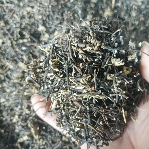 鄄城县【威灵仙】产地东北，一手货源大货供应规格齐全量大优惠。