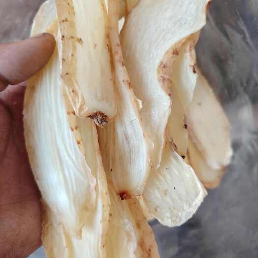 东莞市天麻片，干度好，片型大