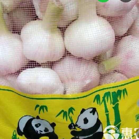 周口河南扒皮鲜蒜