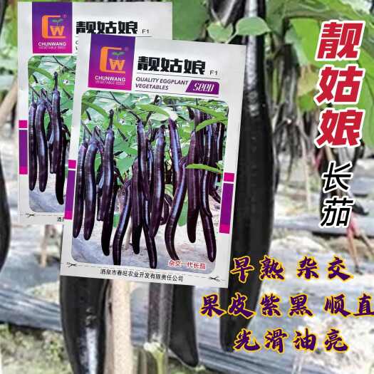 沭阳县靓姑娘长茄茄子种子墨茄线茄农家大田阳台易种四季种植蔬菜种籽