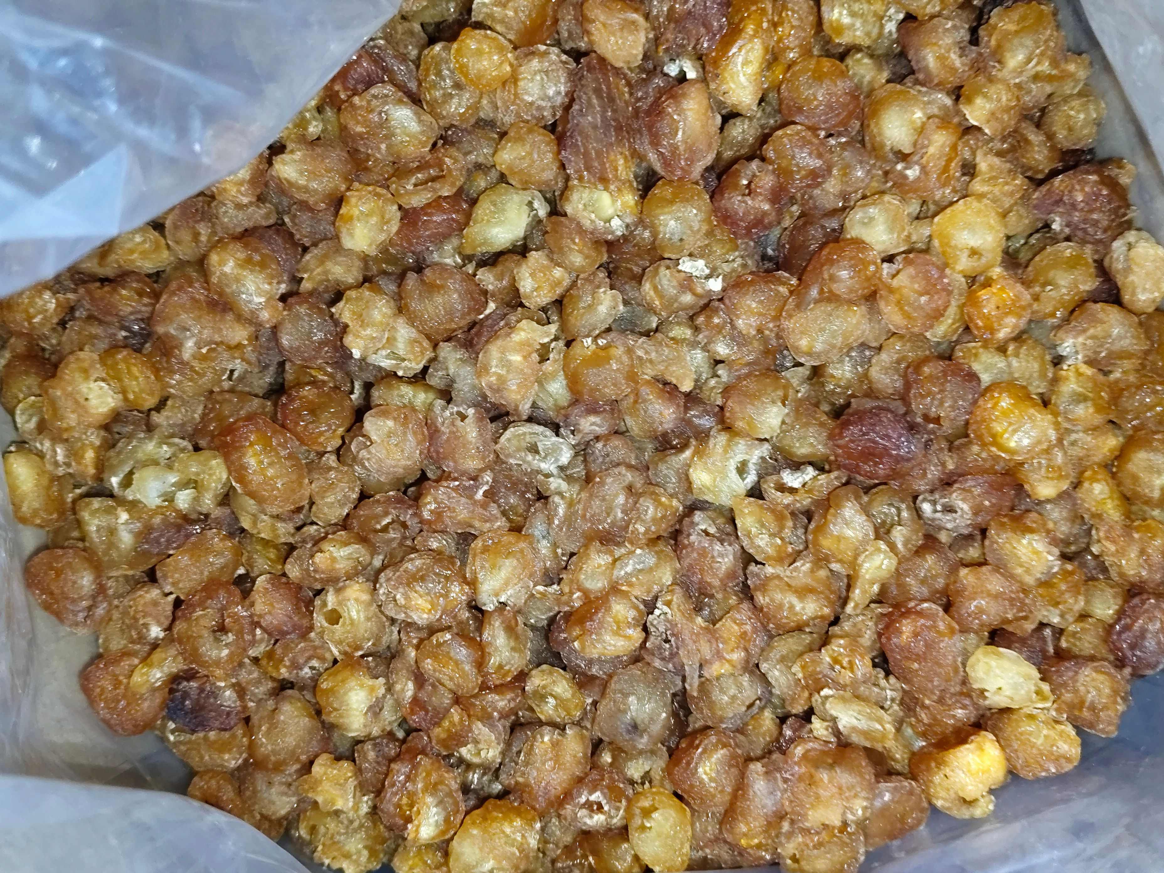 龙眼干博白桂圆干广西特产龙眼肉干精品5A泡水泡茶灯笼肉