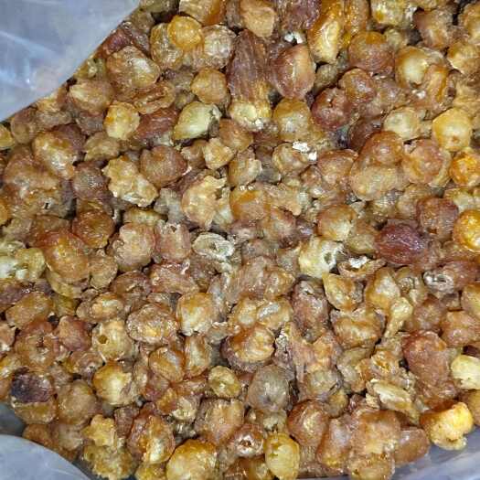 柳州龙眼干博白桂圆干广西特产龙眼肉干精品5A泡水泡茶灯笼肉