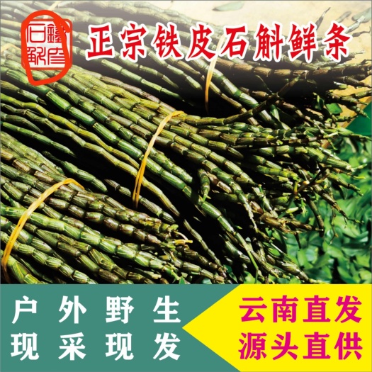 勐海县云南（西双版纳基地发货）鲜石斛条，榨汁，泡汤，现剪现发