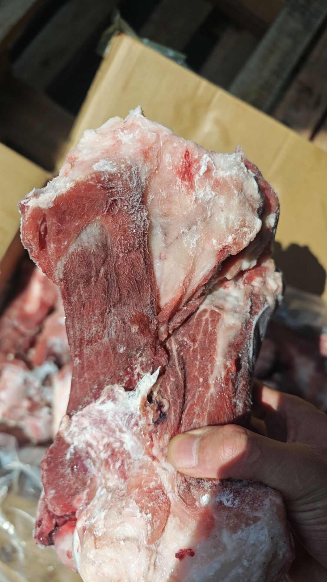满肉后棒骨