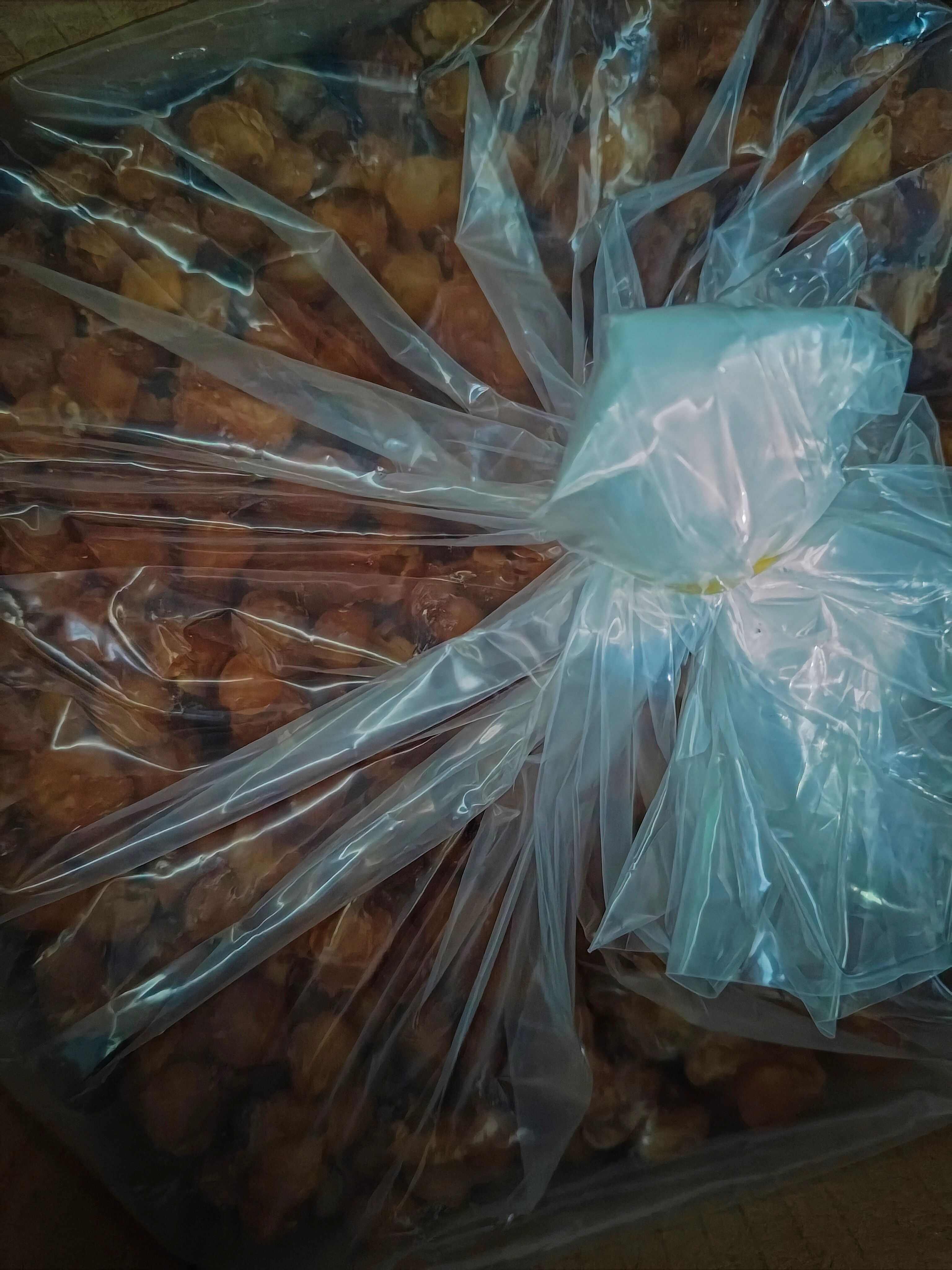 龙眼干博白桂圆干广西特产龙眼肉干精品5A泡水泡茶灯笼肉