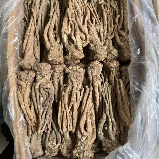 甘肃定西无硫当归条 原色原味 自然晒干 包邮