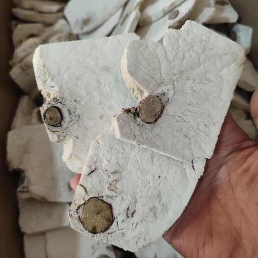 安国市茯神  选货  正品 手机实拍图  2斤起包邮